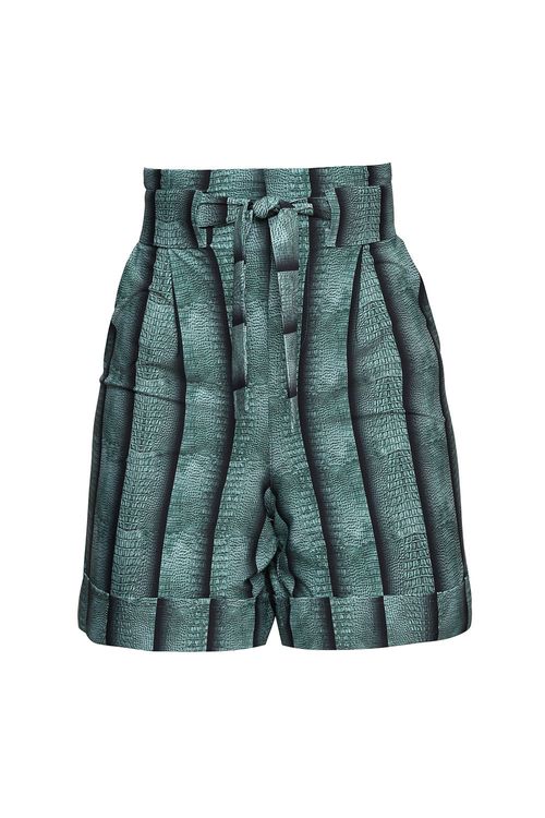 Shorts Lezard